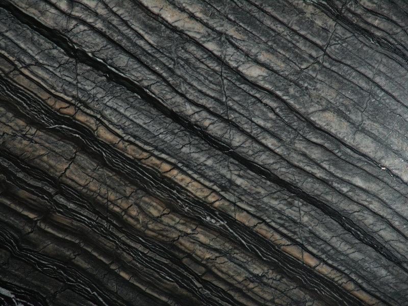 Kenya black wood vein marble slabs