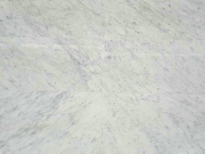 Carrara white tiles